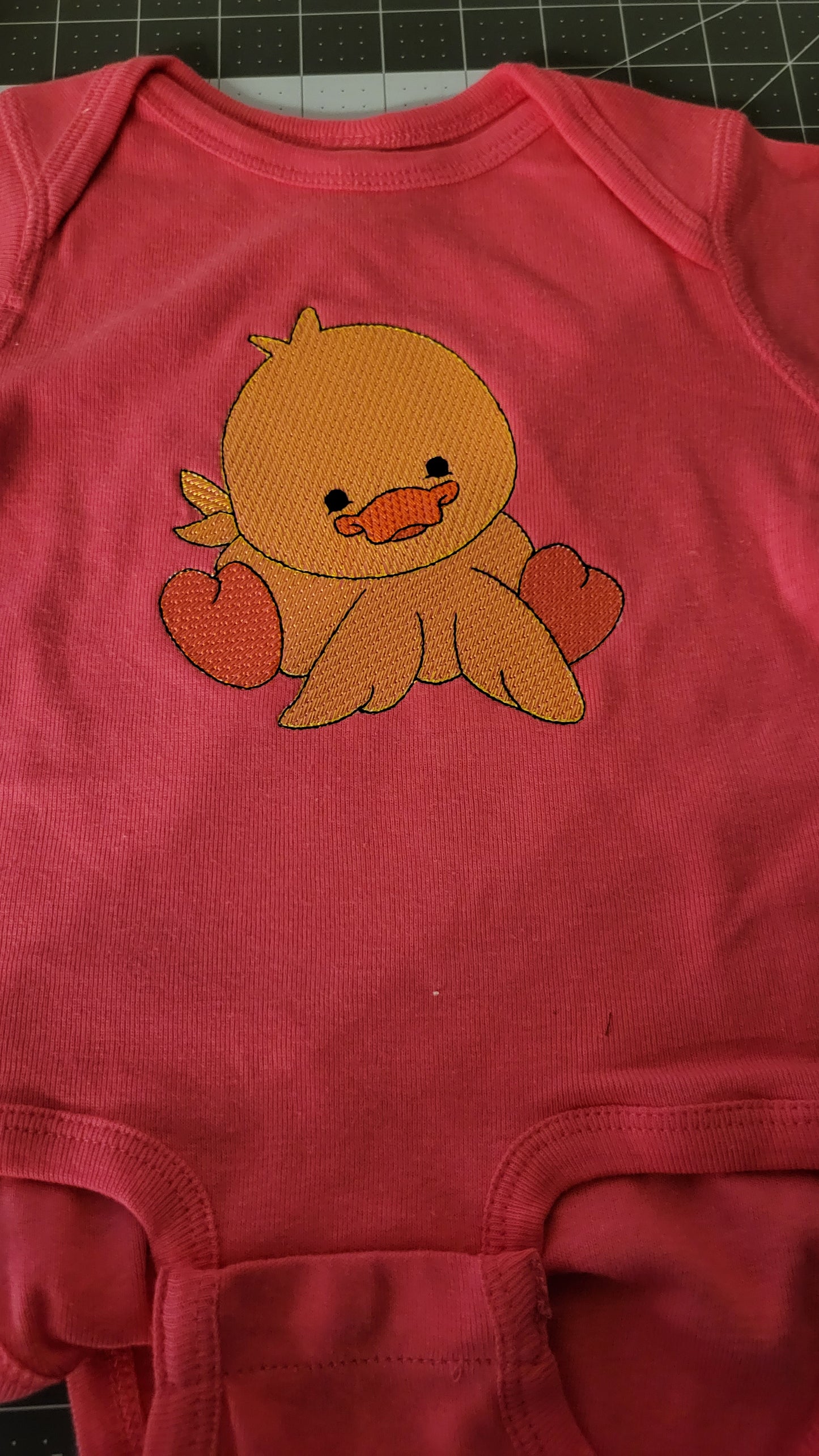 Embroidered Onesie