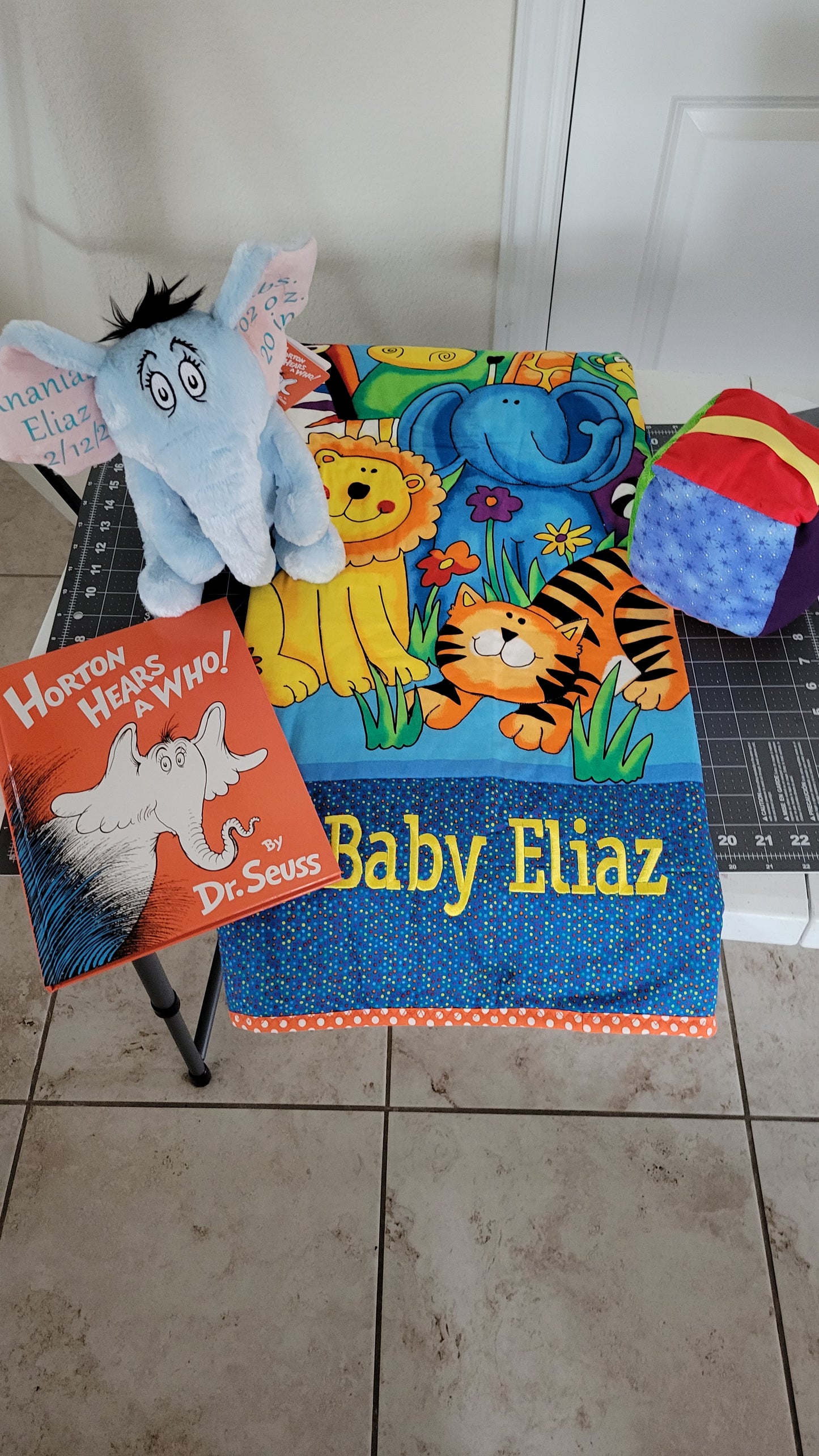 Baby Quilt/ Blanket